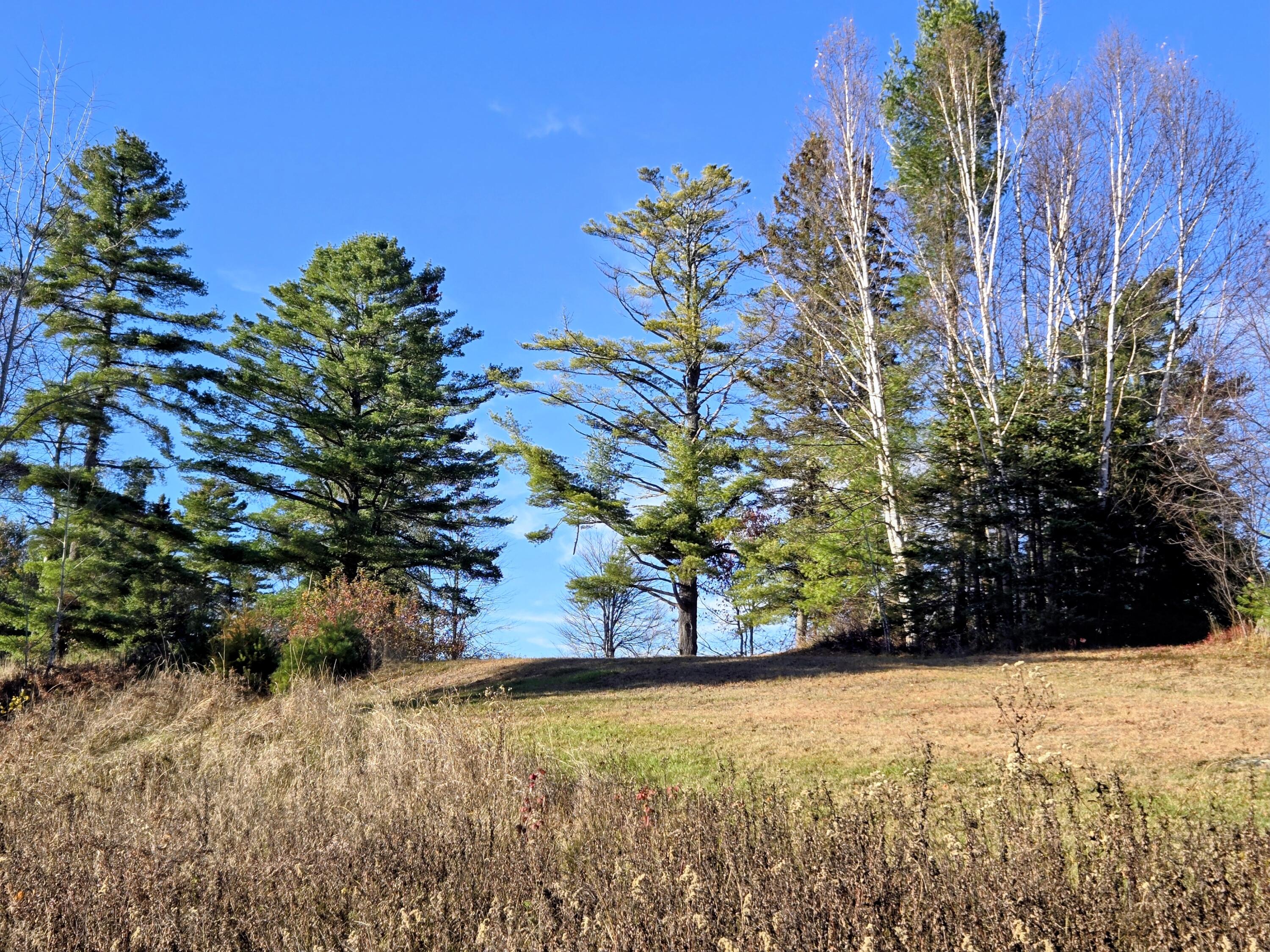 Lot 11 Holeb Road Jackman, ME 04945 - Photo 53 of 59 26.71 Common Acres