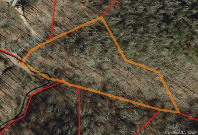 9999 Chambers Cove Road Canton, NC 28716 - Photo 1 of 1