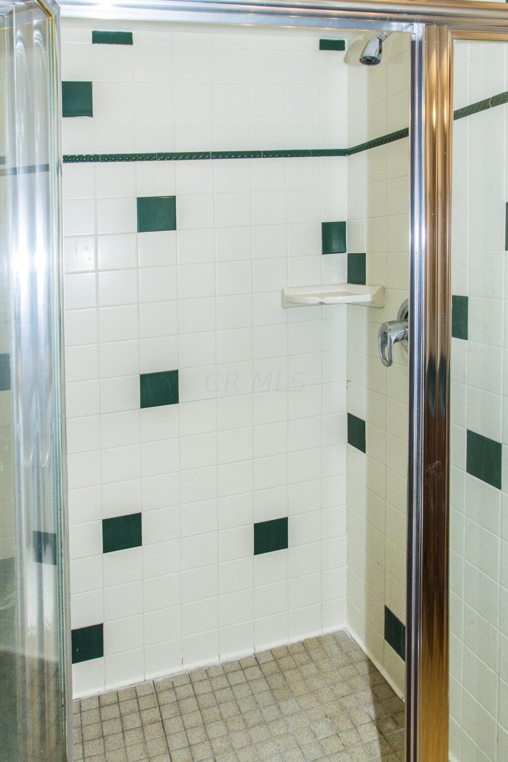 7463 Dublin Road Dublin, OH 43017 - Photo 30 of 64 PRIMARY SHOWER