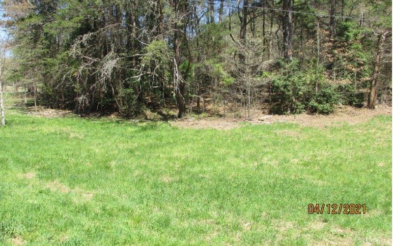 Randall Road Warne, NC 28909 - Photo 1 of 1 Main View