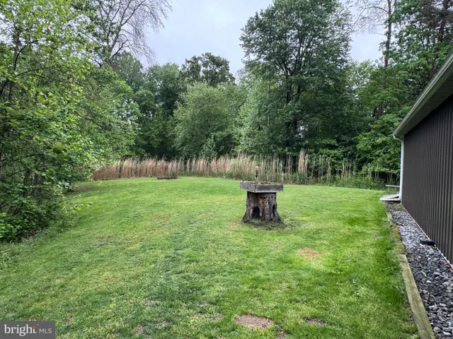 a view of a backyard with a trees