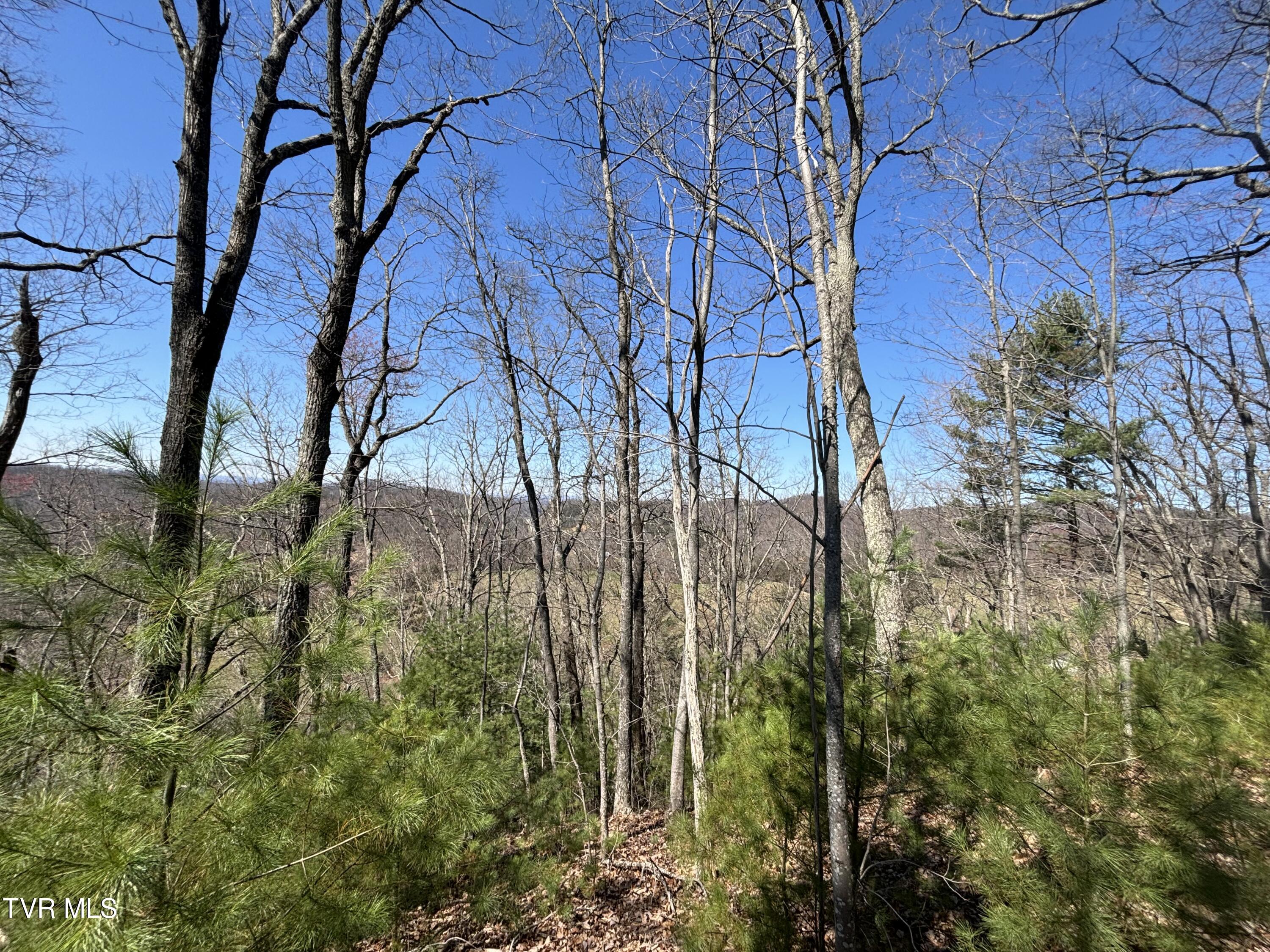 166 Holston Mountain Road Elizabethton, TN 37643 - Photo 14 of 25 IMG_0305