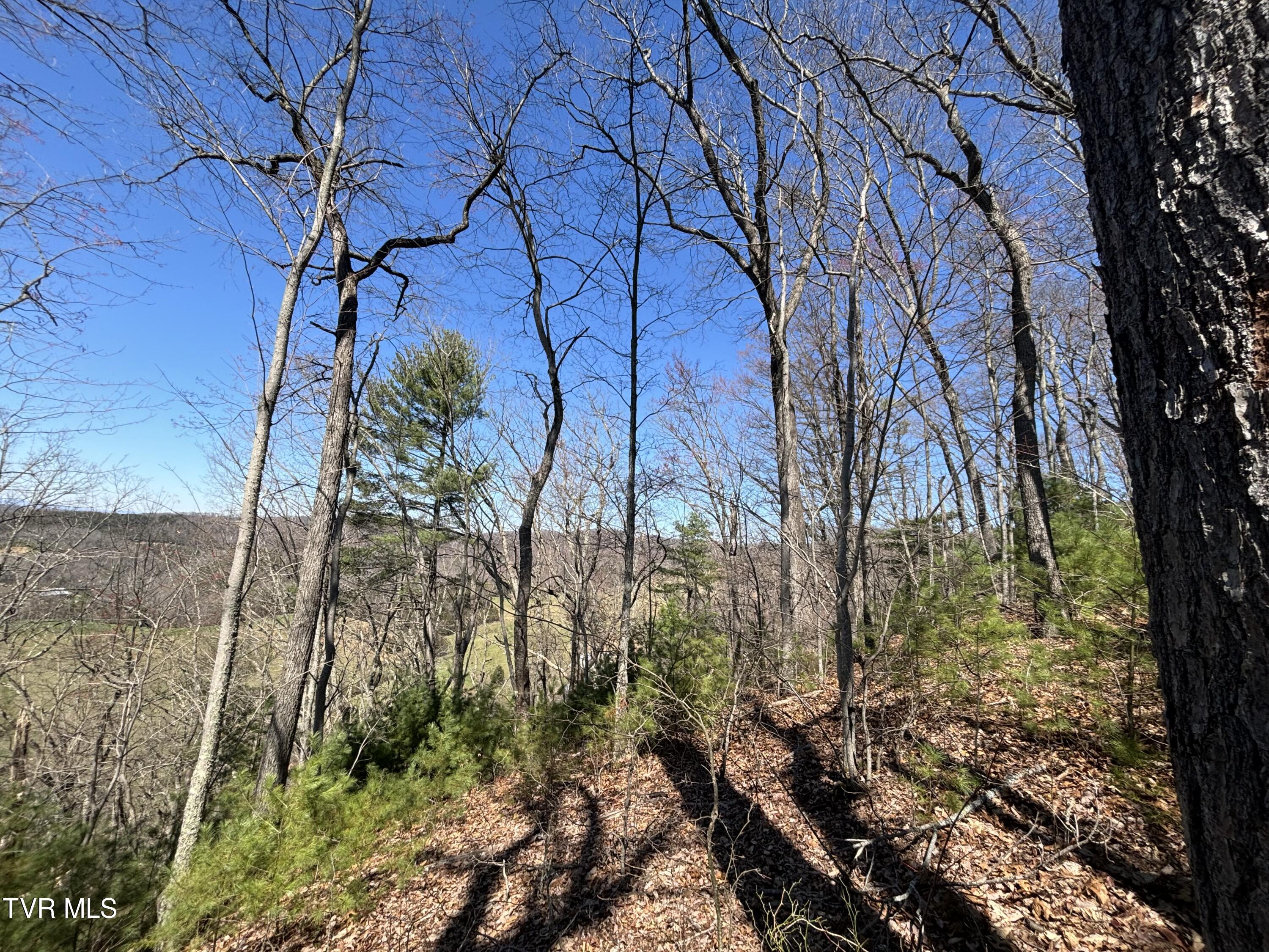 166 Holston Mountain Road Elizabethton, TN 37643 - Photo 15 of 25 IMG_0306