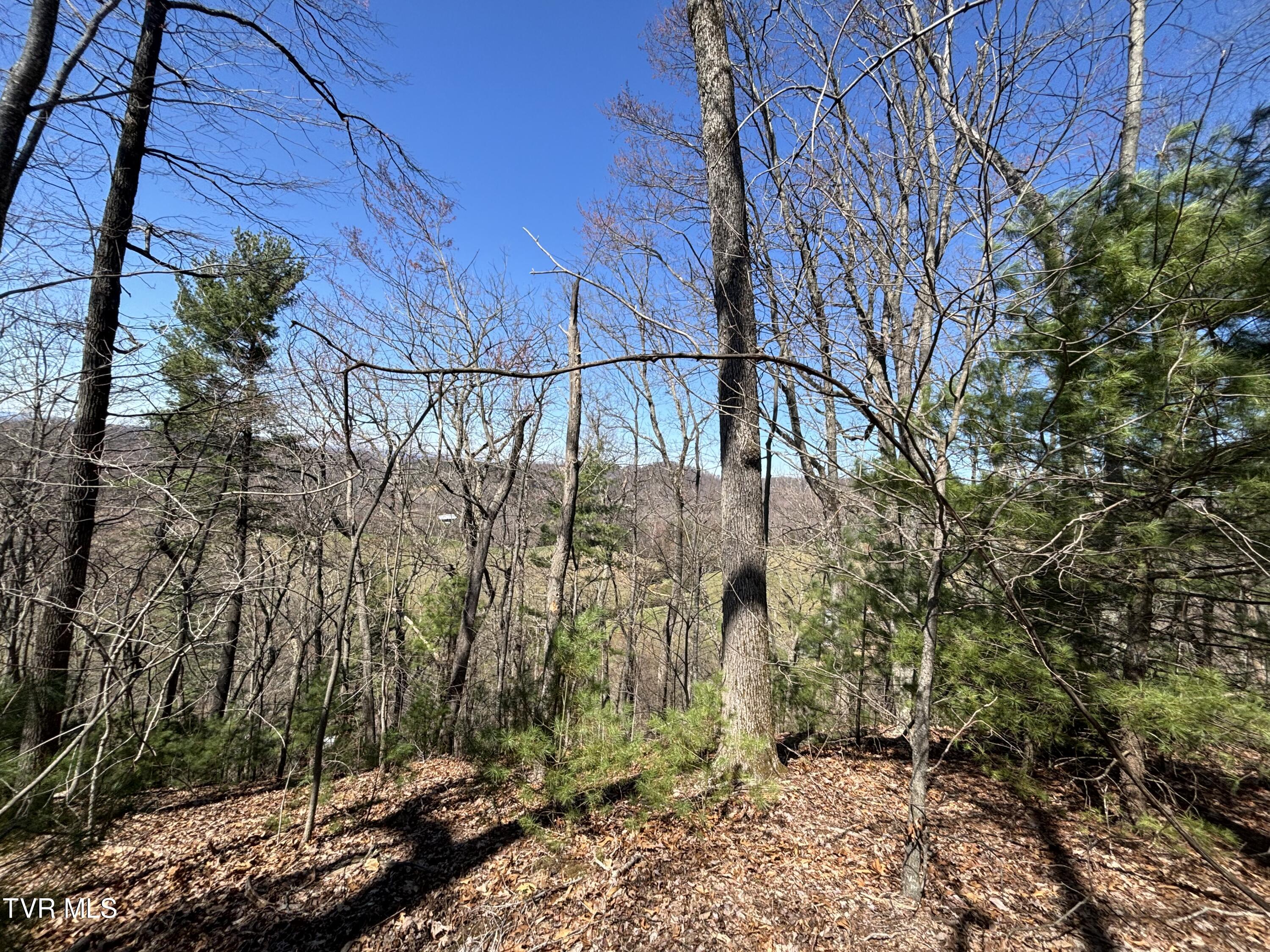 166 Holston Mountain Road Elizabethton, TN 37643 - Photo 16 of 25 IMG_0307