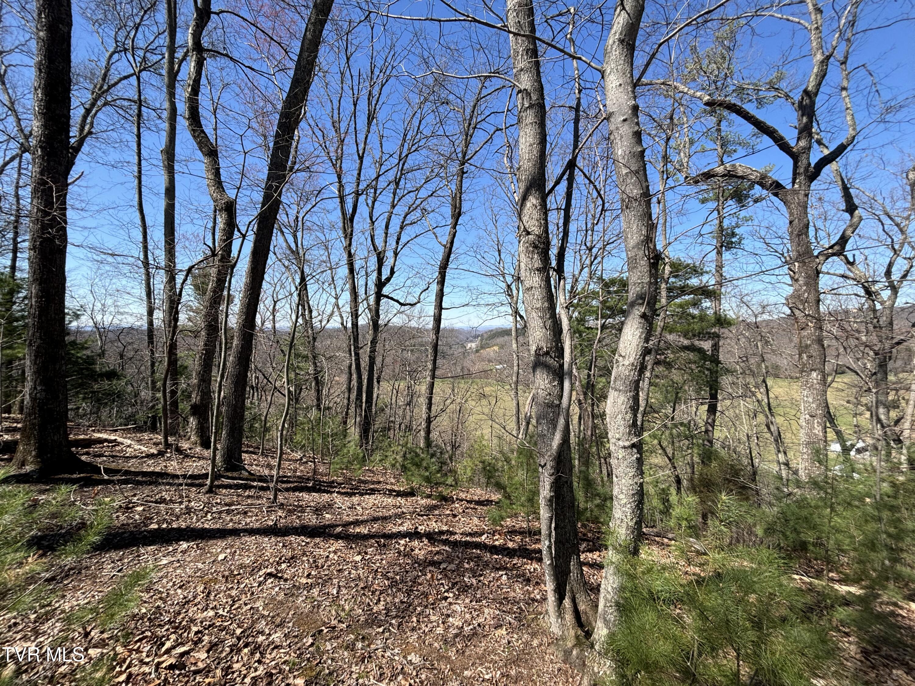 166 Holston Mountain Road Elizabethton, TN 37643 - Photo 19 of 25 IMG_0310