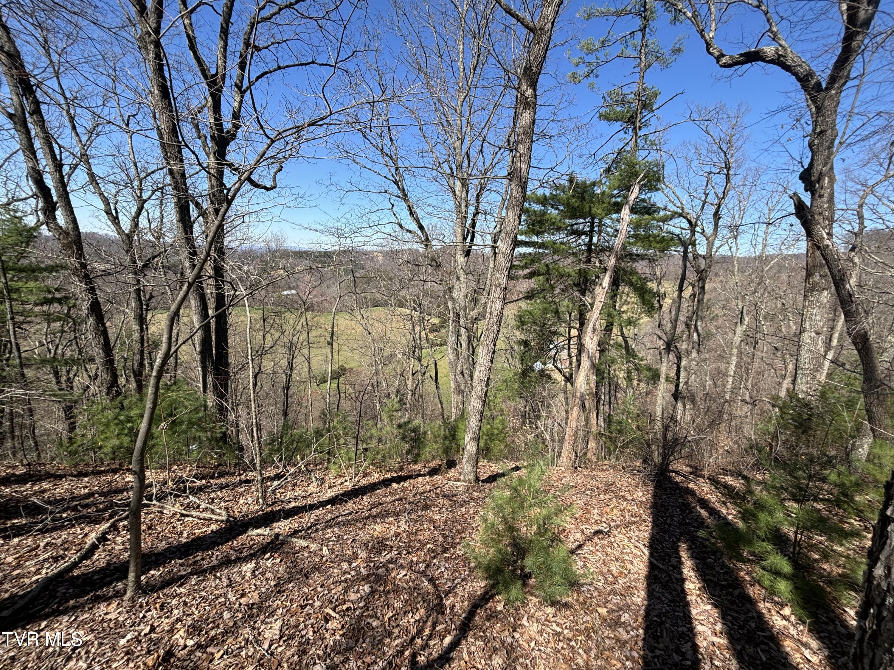 166 Holston Mountain Road Elizabethton, TN 37643 - Photo 21 of 25 IMG_0313