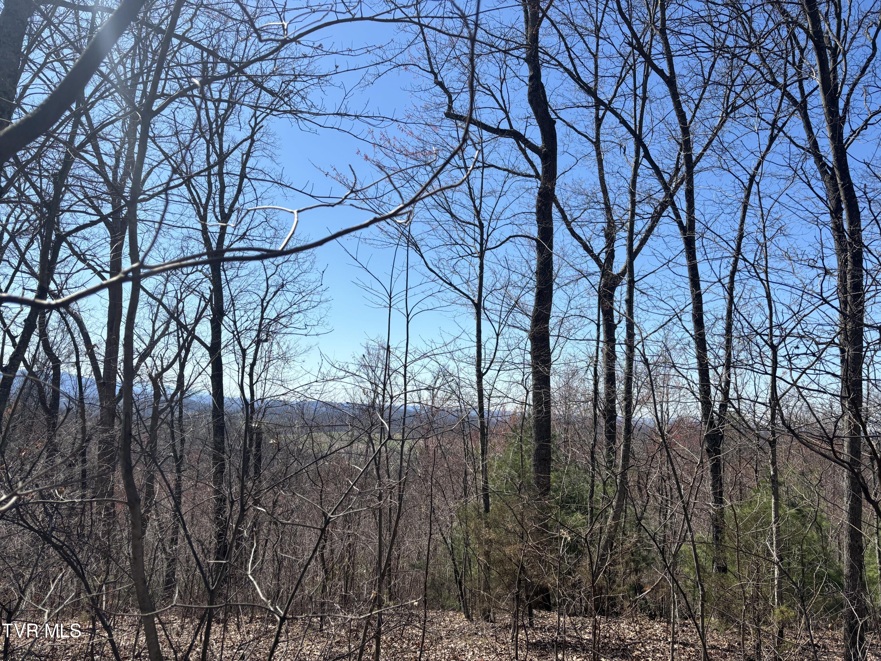 166 Holston Mountain Road Elizabethton, TN 37643 - Photo 23 of 25 IMG_0315
