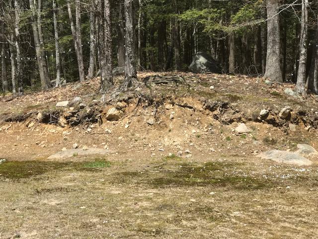 307 Blanchard Road Sanford, ME 04083 - Photo 42 of 42 IMG_6311