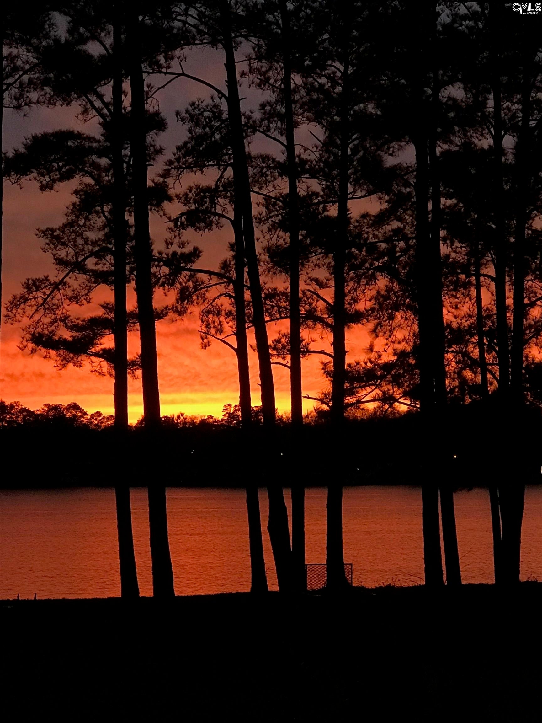 3524 Driftwood Point Road Gilbert, SC 29054 - Photo 69 of 72 Gallery Image 69