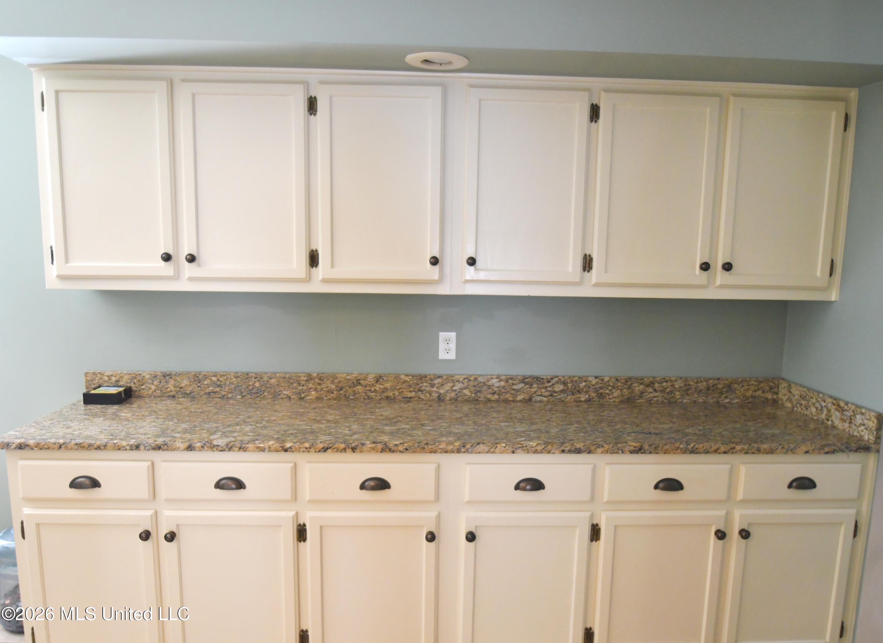 1780 Malone Road Nesbit, MS 38651 - Photo 8 of 31 Plenty of Cabinets
