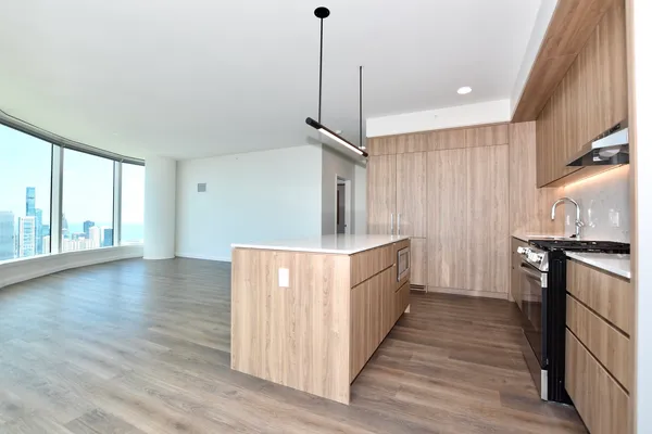$7,142 | 1000 South Michigan Avenue, Unit 5901, Chicago, IL 60605