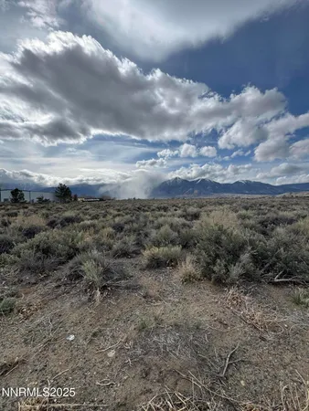 $590,000 | 2590 Nowlin Road, Minden, NV 89423