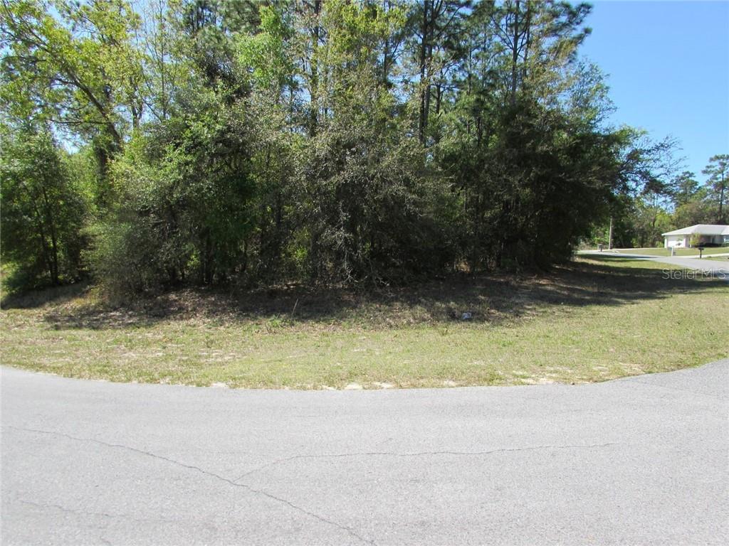 0 Southwest 196th Avenue Dunnellon, FL 34432 - Photo 1 of 1 Gallery Image 1