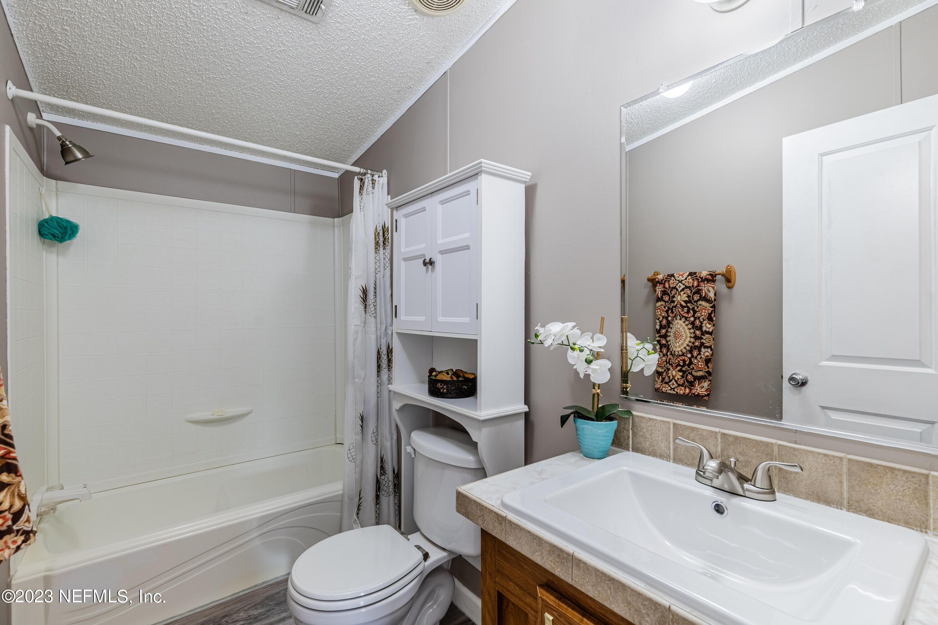 159 Goldie Road Melrose, FL 32666 - Photo 28 of 67 Spare Bathroom