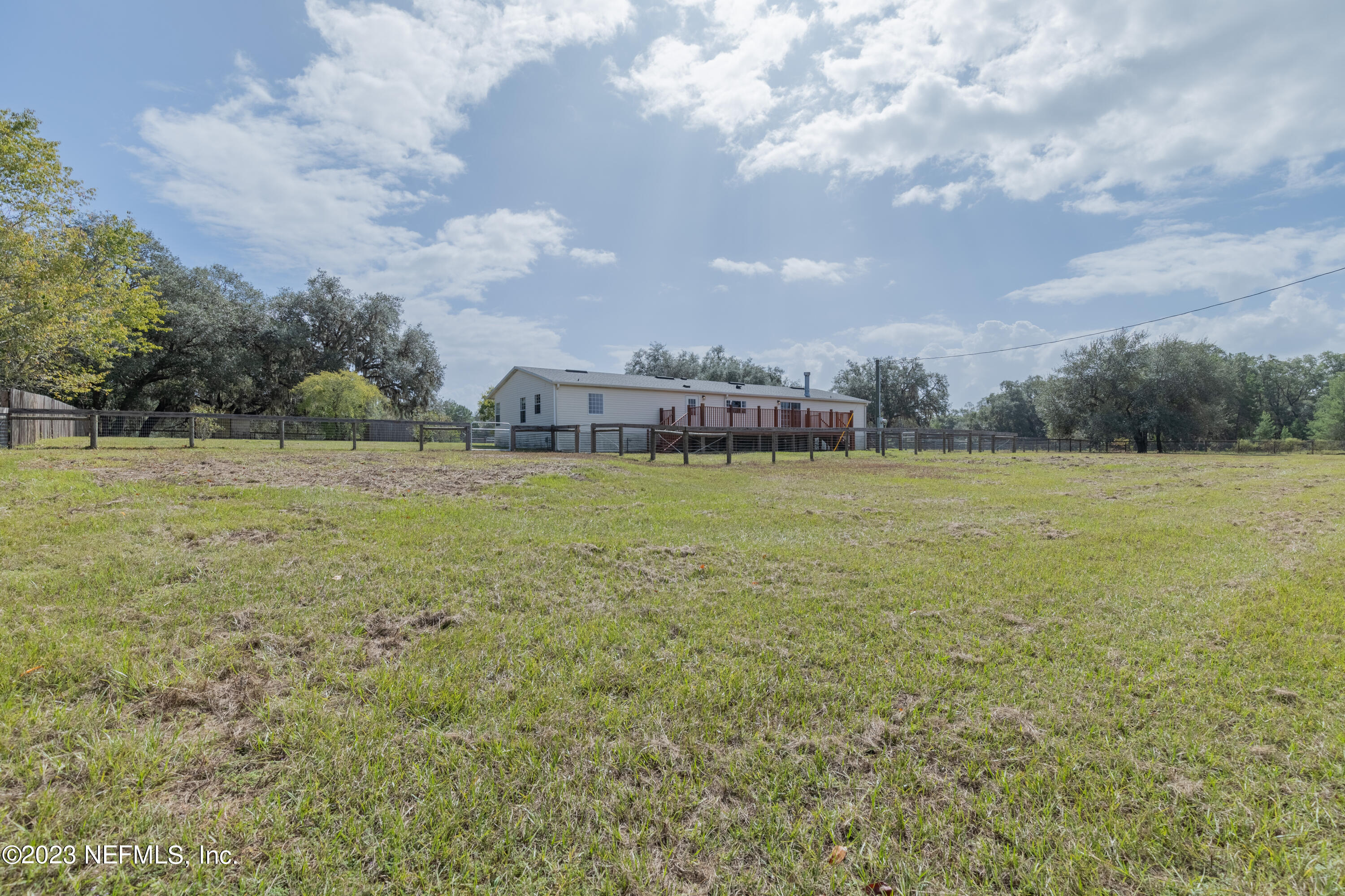 159 Goldie Road Melrose, FL 32666 - Photo 42 of 67 Backyard
