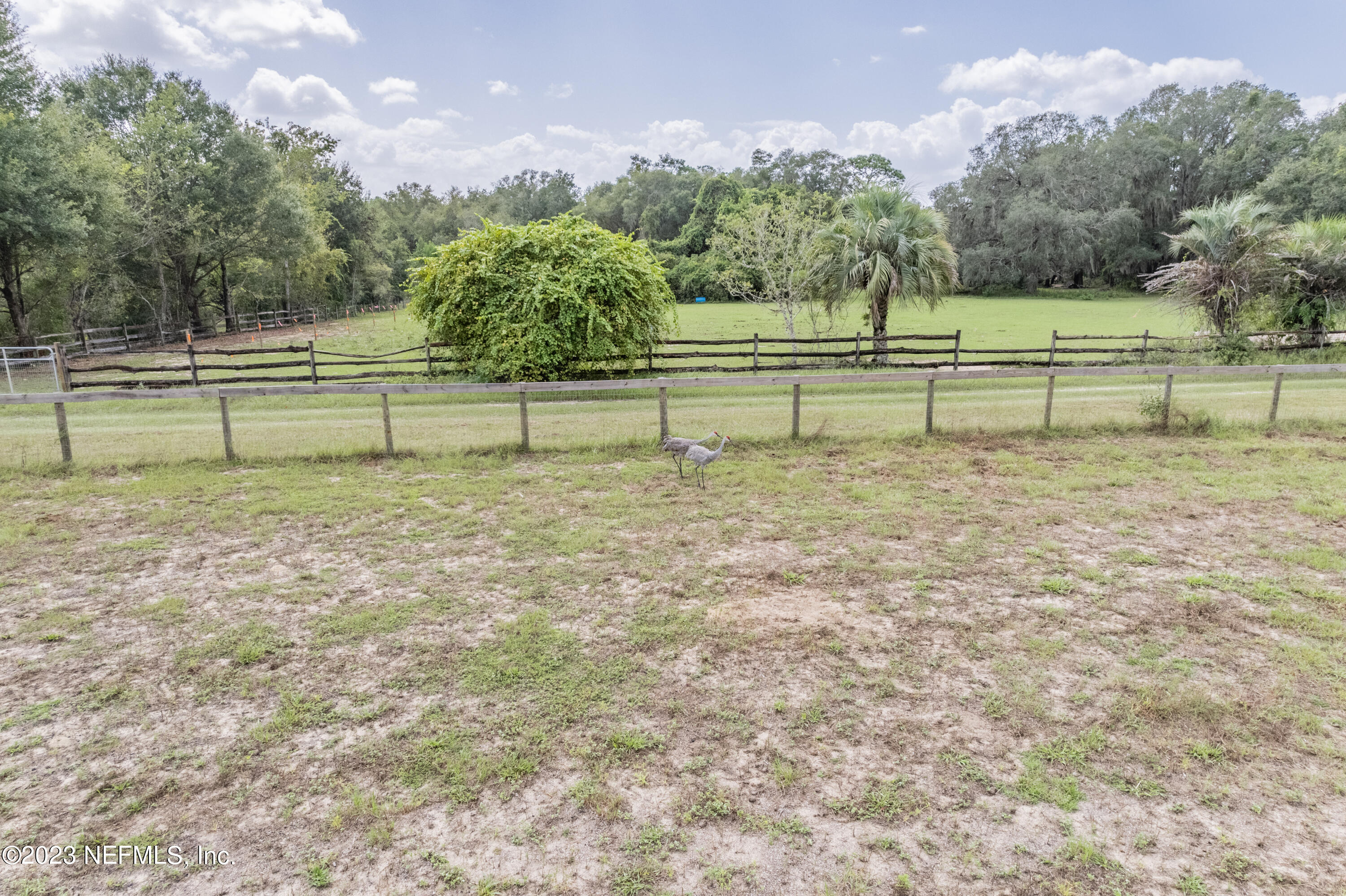 159 Goldie Road Melrose, FL 32666 - Photo 54 of 67 Perimeter Fencing