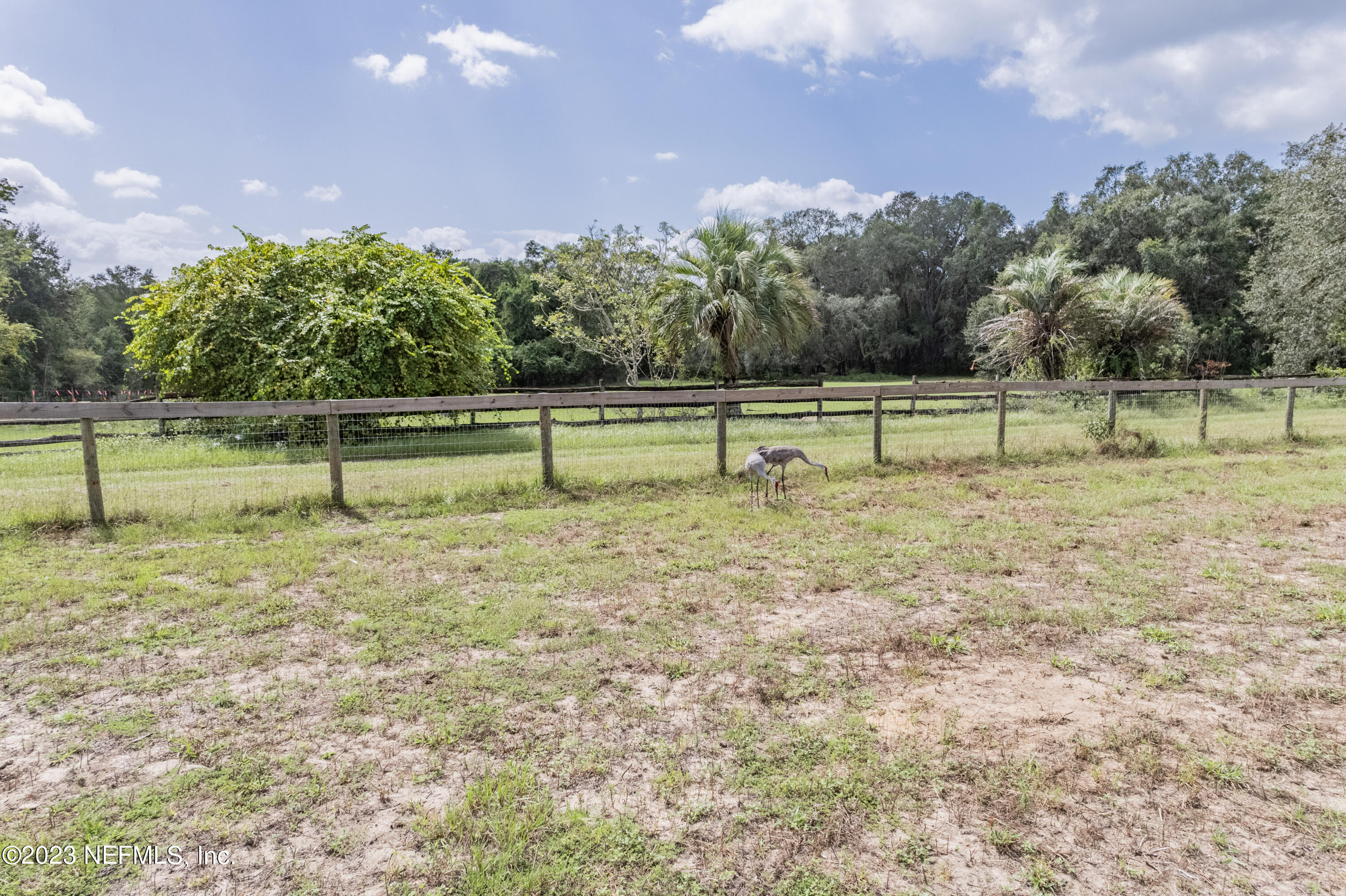 159 Goldie Road Melrose, FL 32666 - Photo 55 of 67 Perimeter Fencing
