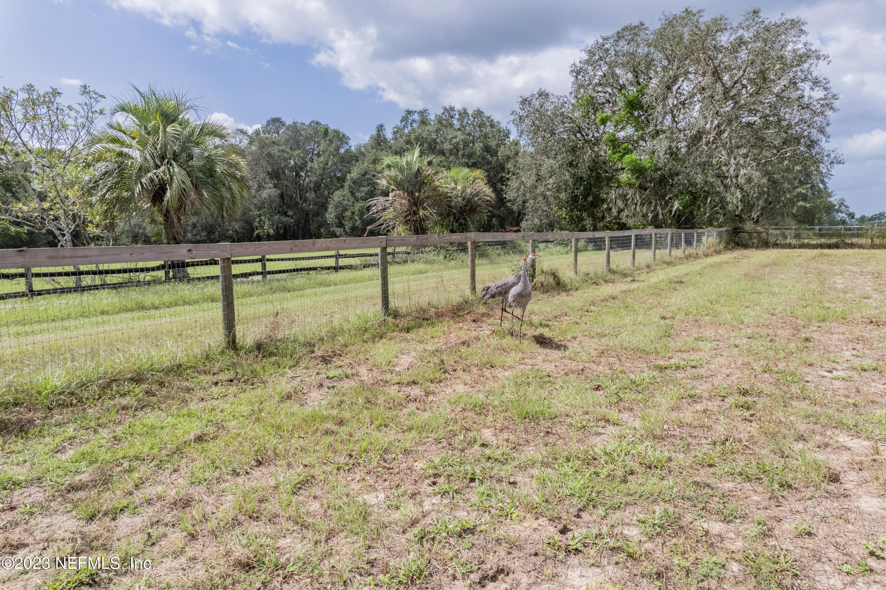159 Goldie Road Melrose, FL 32666 - Photo 56 of 67 Perimeter Fencing