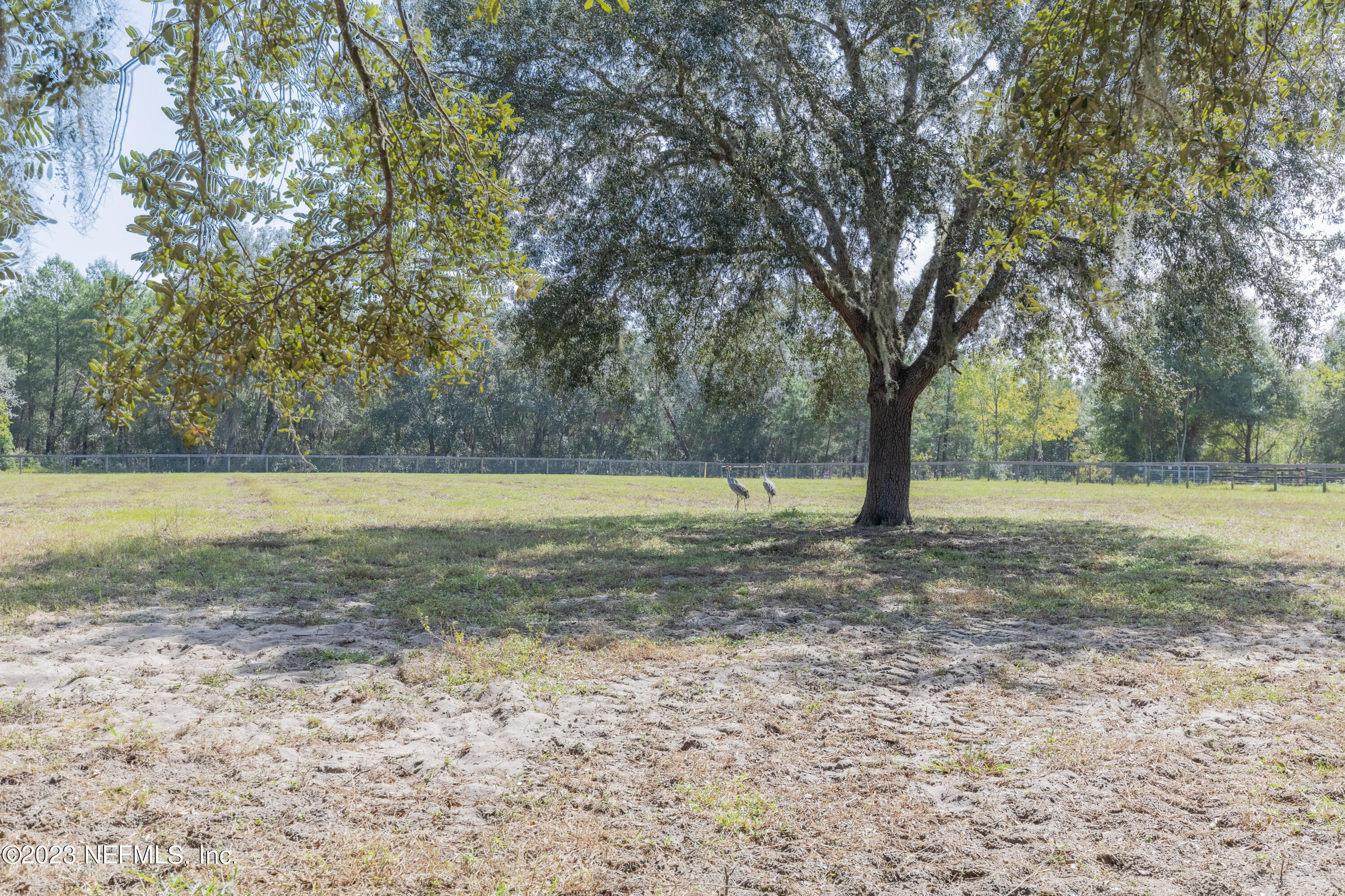159 Goldie Road Melrose, FL 32666 - Photo 57 of 67 Pasture View