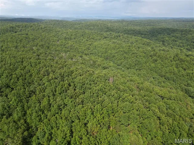 $275,000 | 1972 County Road 726, Centerville, MO 63633