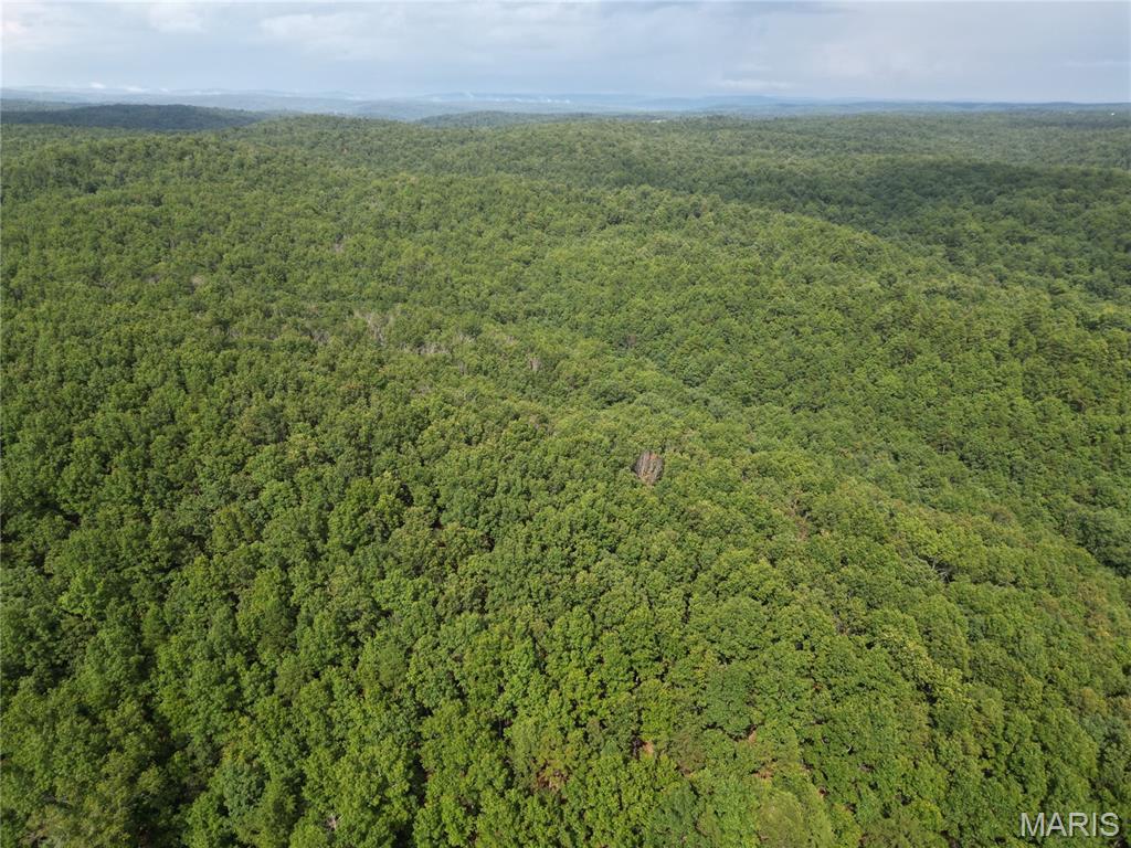 1972 County Road 726 Centerville, MO 63633 - Photo 11 of 21