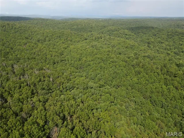 $275,000 | 1972 County Road 726, Centerville, MO 63633