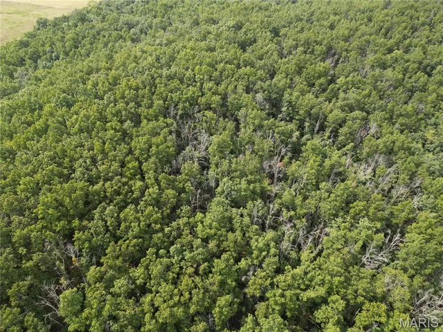 $275,000 | 1972 County Road 726, Centerville, MO 63633