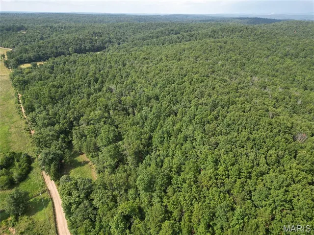 $275,000 | 1972 County Road 726, Centerville, MO 63633