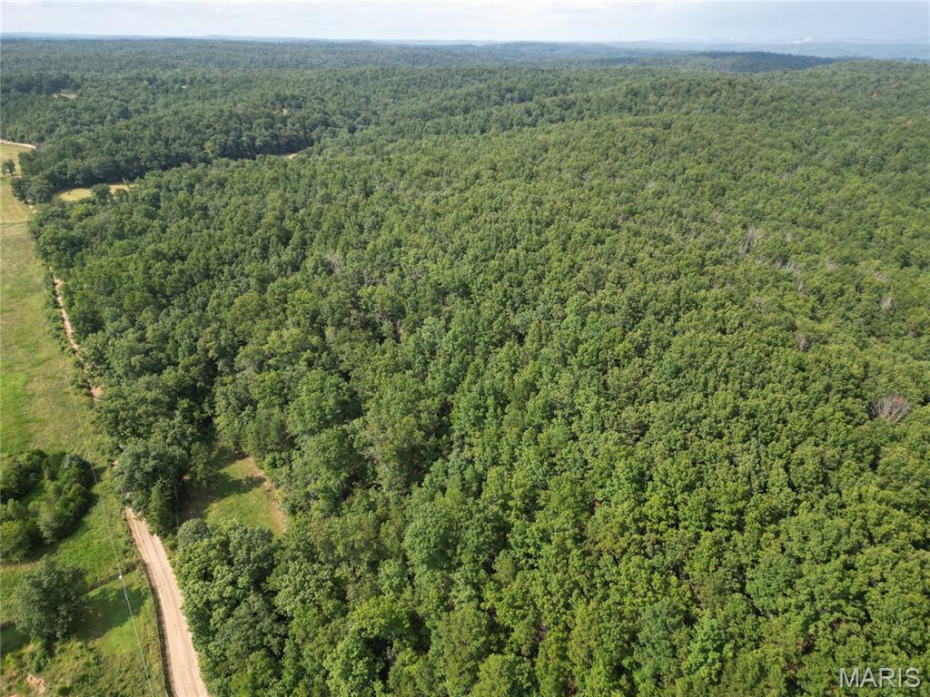 1972 County Road 726 Centerville, MO 63633 - Photo 14 of 21