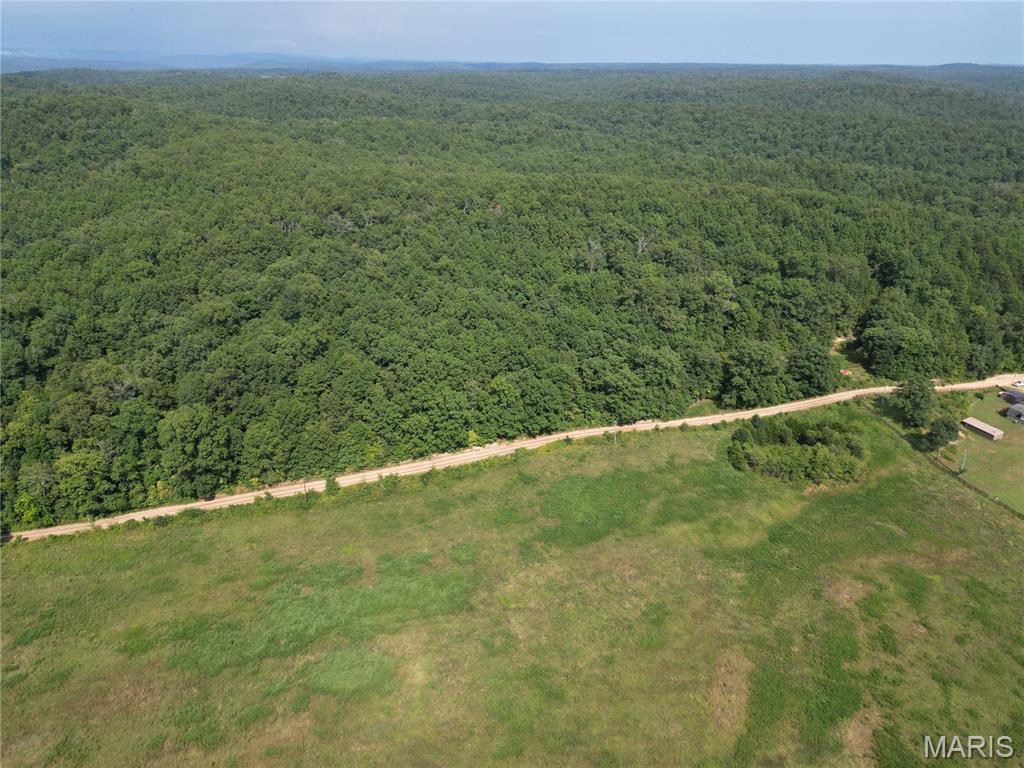 1972 County Road 726 Centerville, MO 63633 - Photo 15 of 21