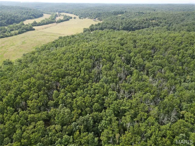 $275,000 | 1972 County Road 726, Centerville, MO 63633