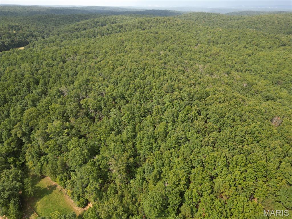 1972 County Road 726 Centerville, MO 63633 - Photo 9 of 21