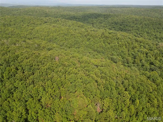 $275,000 | 1972 County Road 726, Centerville, MO 63633