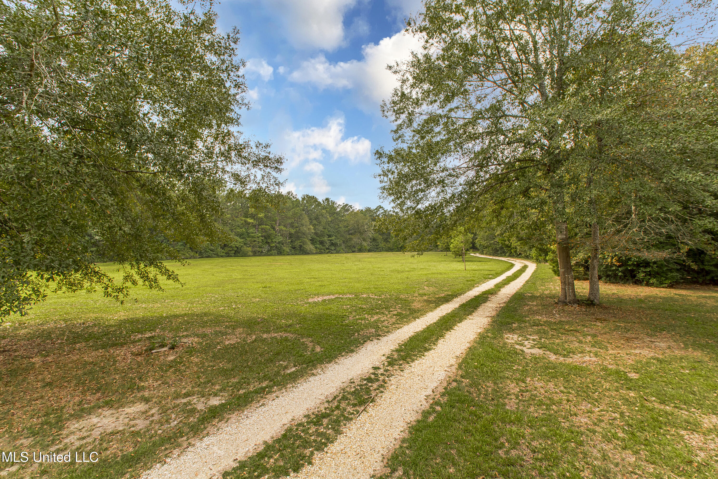 32240 A C Crawford Road Bush, LA 70431 - Photo 51 of 52 DSC_2798 copy