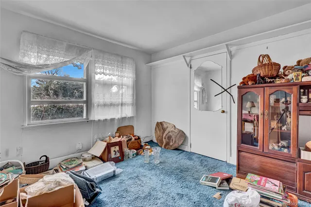 a bedroom with furniture and a window