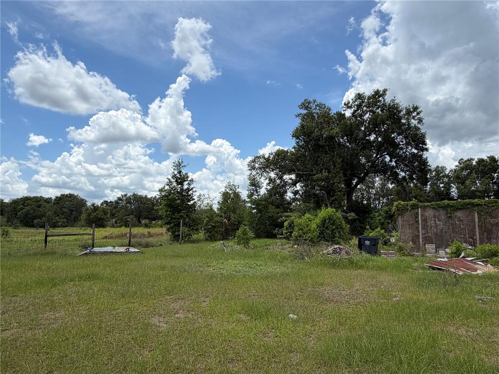 4215 Stearns Road Valrico, FL 33596 - Photo 4 of 23