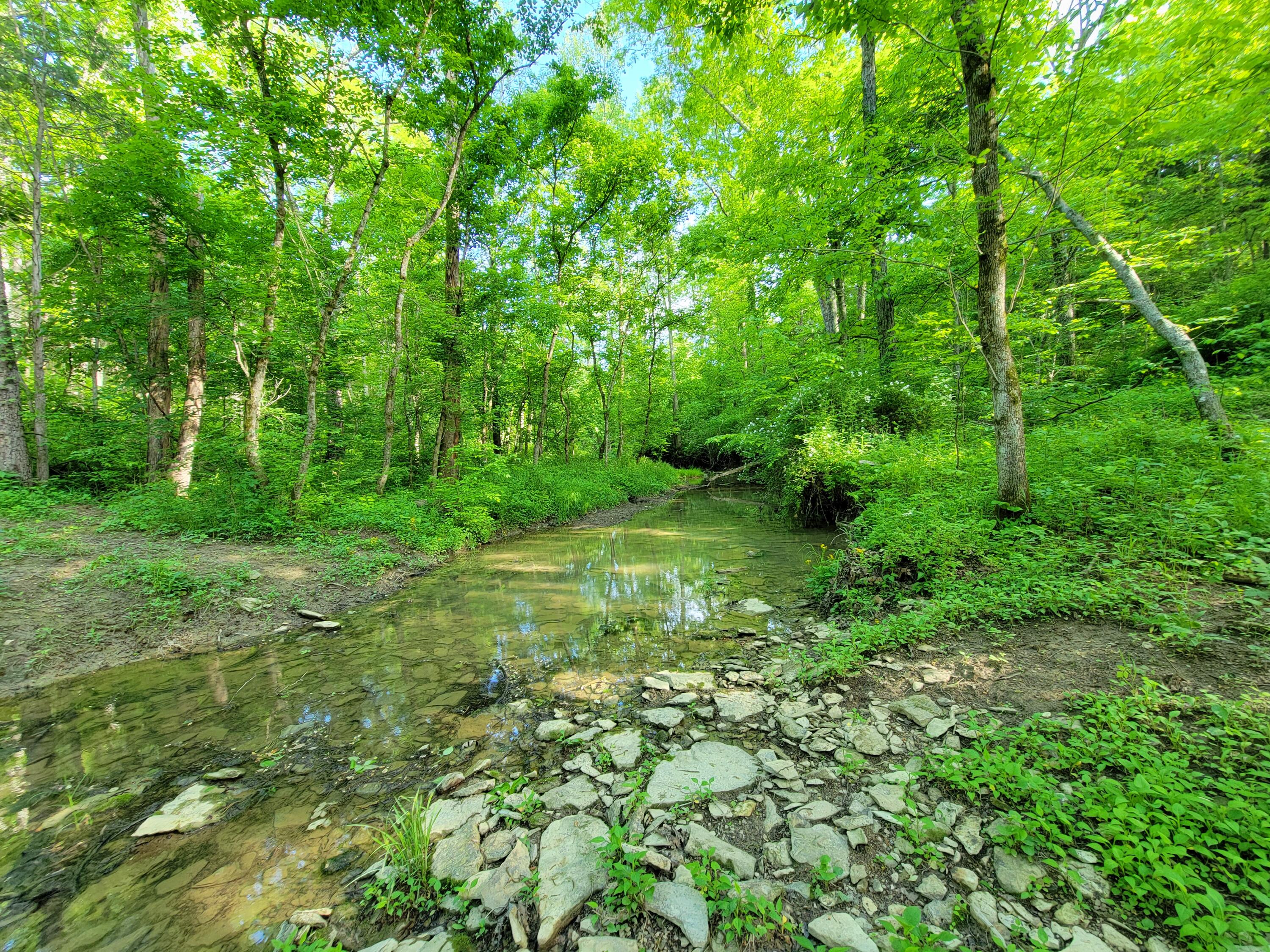 119-acres Keefer Road Corinth, KY 41010 - Photo 16 of 44 Gallery Image 16