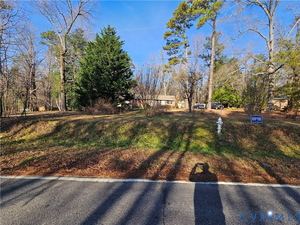 7866 Wilton Road, Unit 1 Henrico, VA 23231 - Photo 2 of 22 a view of a yard with plants