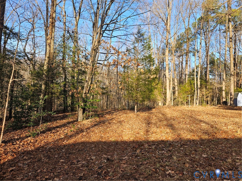 7866 Wilton Road, Unit 1 Henrico, VA 23231 - Photo 7 of 22 a view of large trees with yard