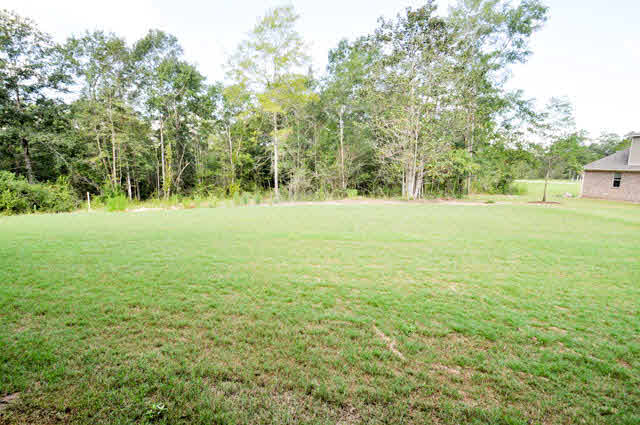 31783 Dewpoint Lane Daphne, AL 36527 - Photo 26 of 29