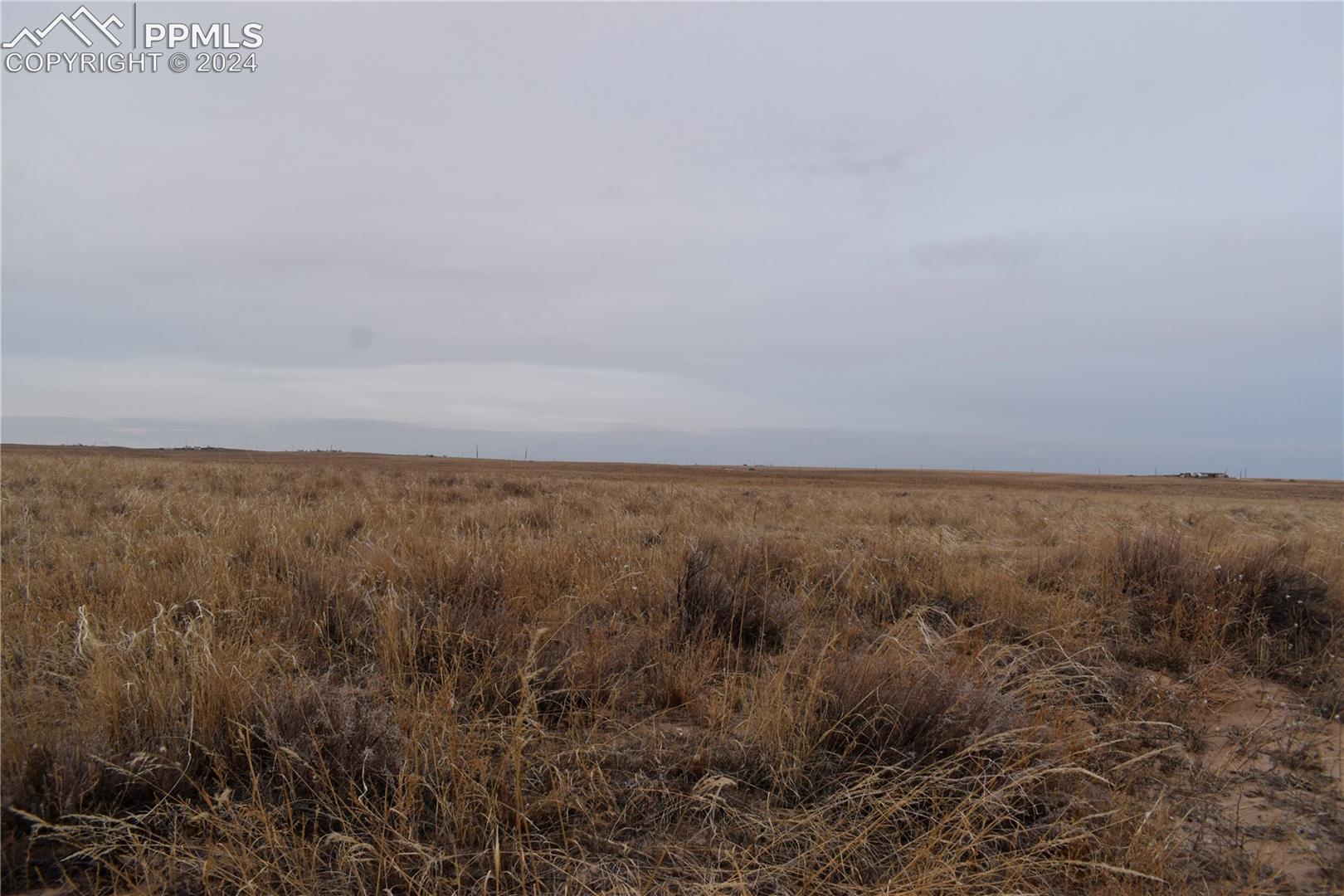 31390 Ken View Yoder, CO 80864 - Photo 1 of 8 View of local wilderness with a rural view