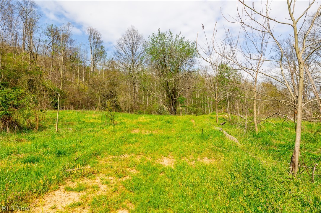 0 Twp Road, Unit 3 Whipple, OH 45788 - Photo 6 of 11