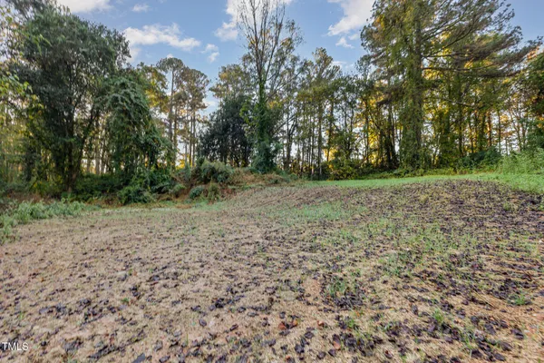 a view of a field with trees in the background