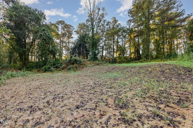a view of a field with trees in the background
