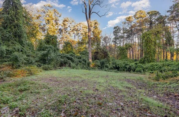 a view of a field with lots of bushes