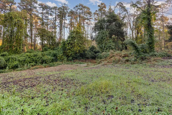a view of outdoor space and trees