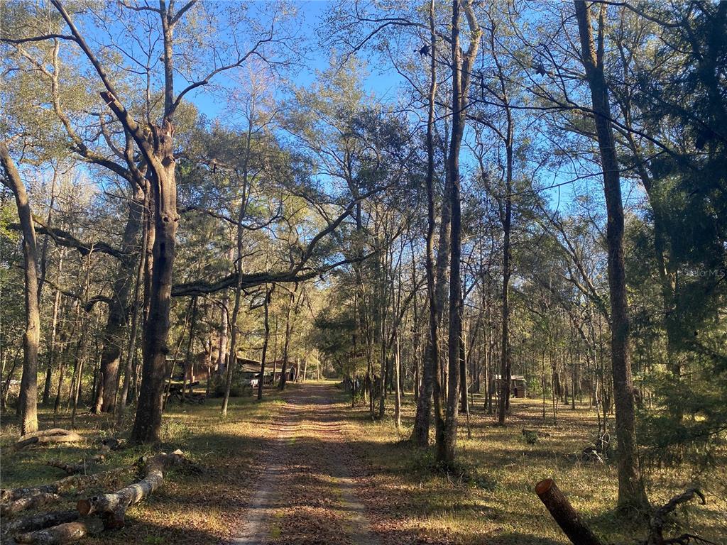 Driveway