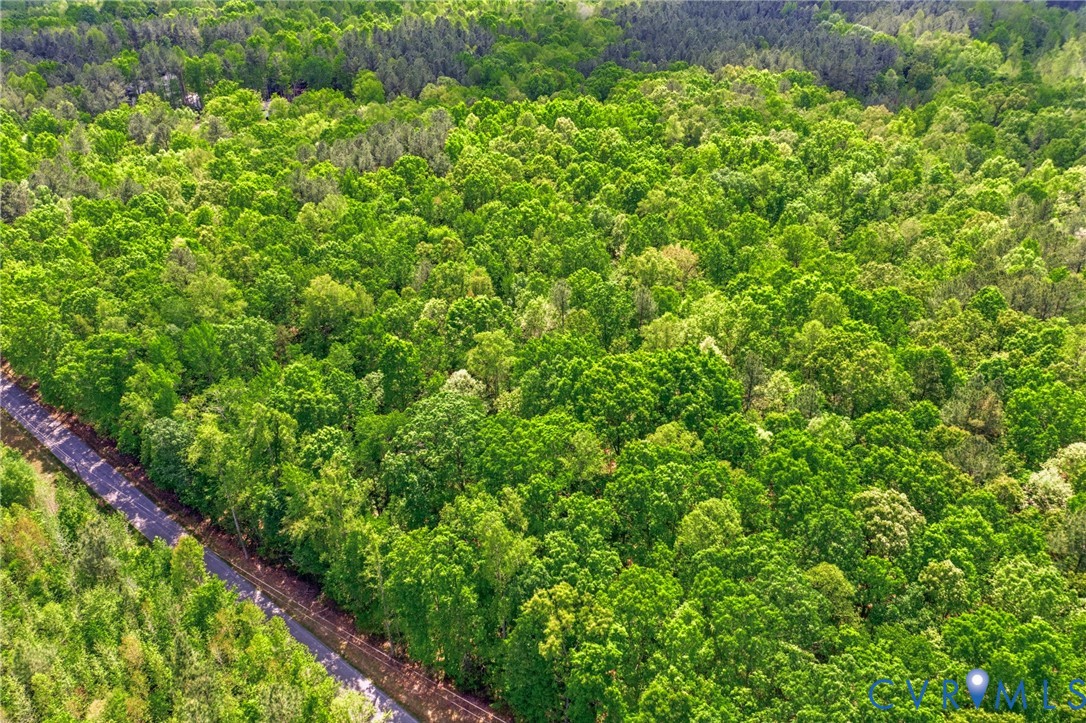 Lot 2 Colemans Lake Road Ford, VA 23850 - Photo 3 of 15 Lot 2 Colemans Lake Road