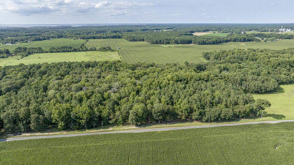 1 Hurst Store Road, Unit 1 Greenbush, VA 23357 - Photo 26 of 34 Gallery Image 26