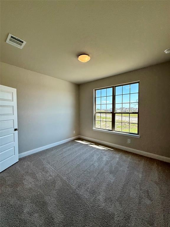 5004 Picasso Road Royse City, TX 75189 - Photo 12 of 20 an empty room with windows